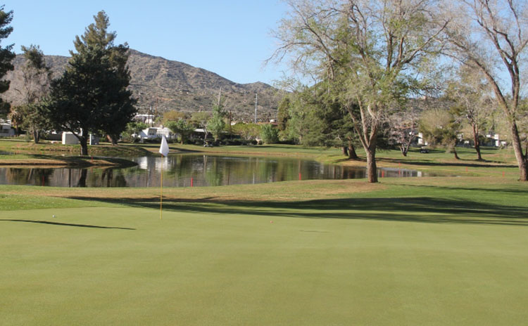 pond next to fairway